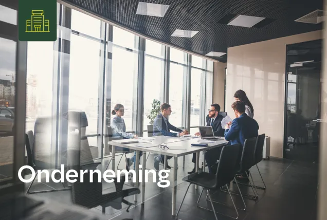 Onderneming - professionelen