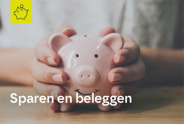 Sparen & beleggen - particulieren 