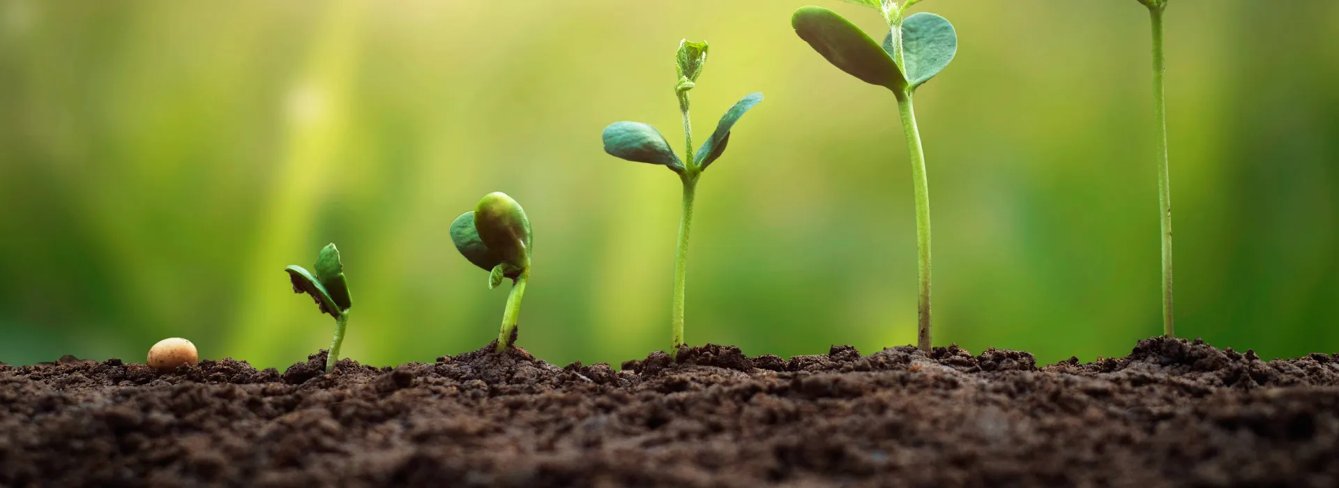 Nulens Verzekeringen - Vermogen